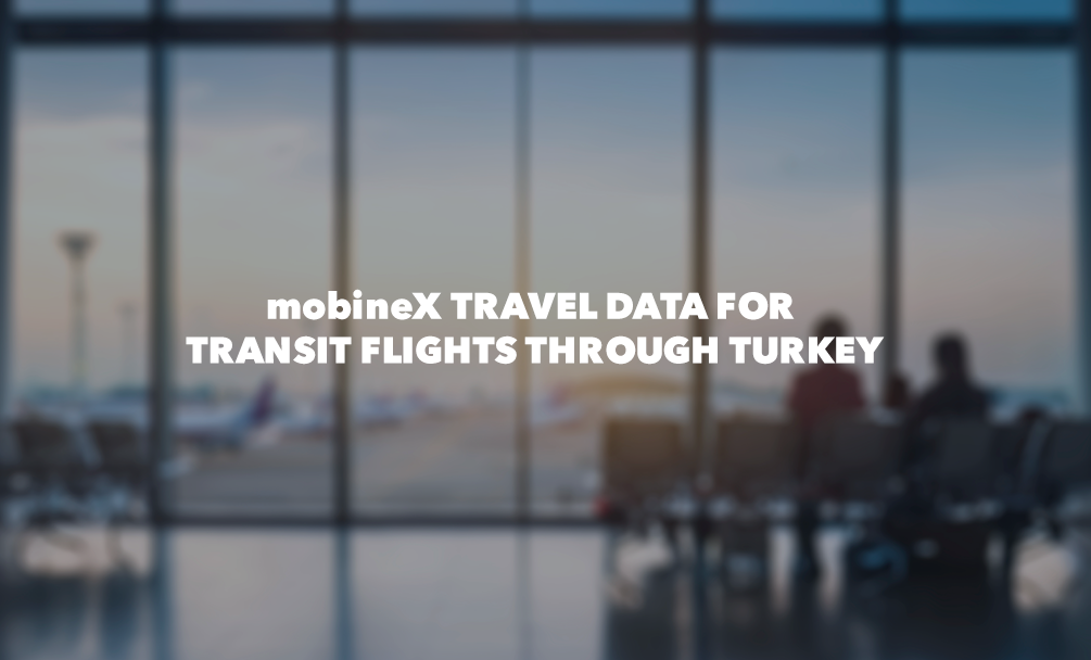 Why You Should Purchase a mobineX Travel Internet Package for Transit Flights in Turkey