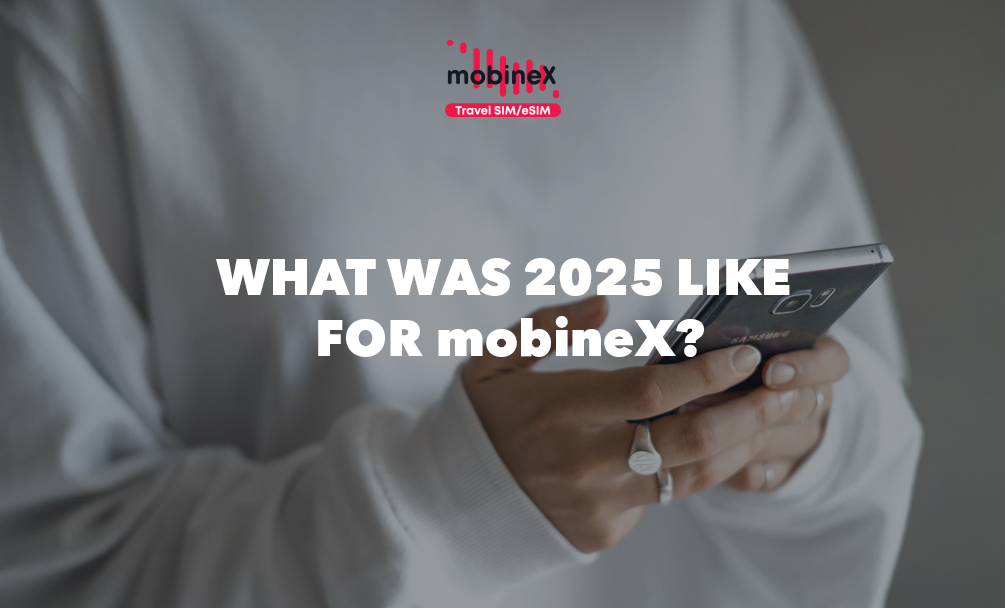What 2025 Was Like for mobineX